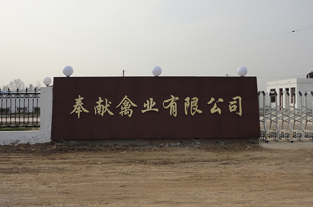 场门及场内